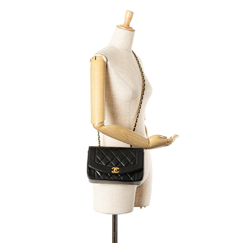 Chanel Diana Matelasse Lambskin Shoulder Bag - Image 32
